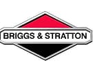 logo briggs